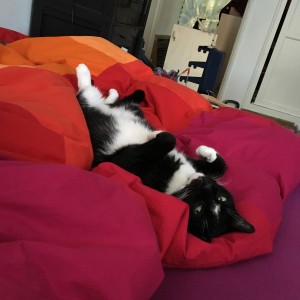 Simon