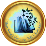 Best Small Fictions 2023 Medallion